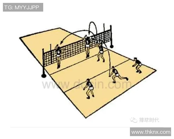 排球战术：杭州排球队的运营体系