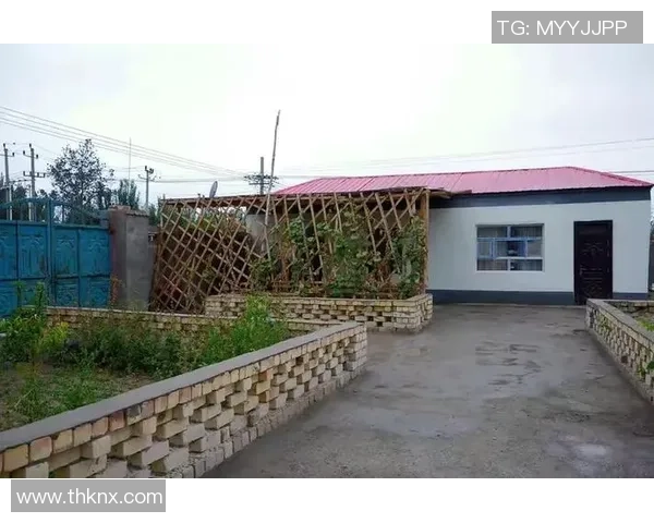 稻城足球的崛起与发展探索：小镇如何在绿茵场上书写传奇